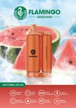 flamingo-watermelon-ice